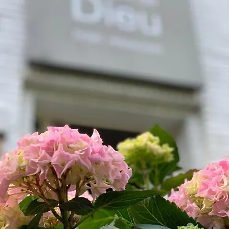 Hotel Au Nom De Dieu